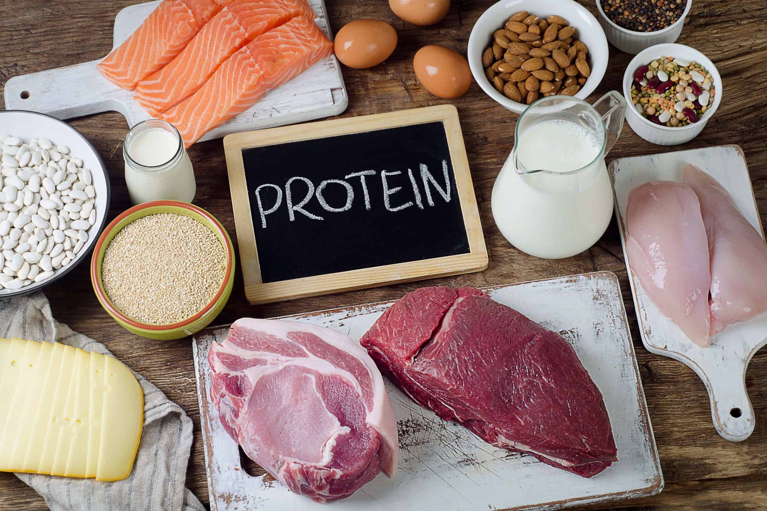 Protein as the main food group for gaining muscle mass