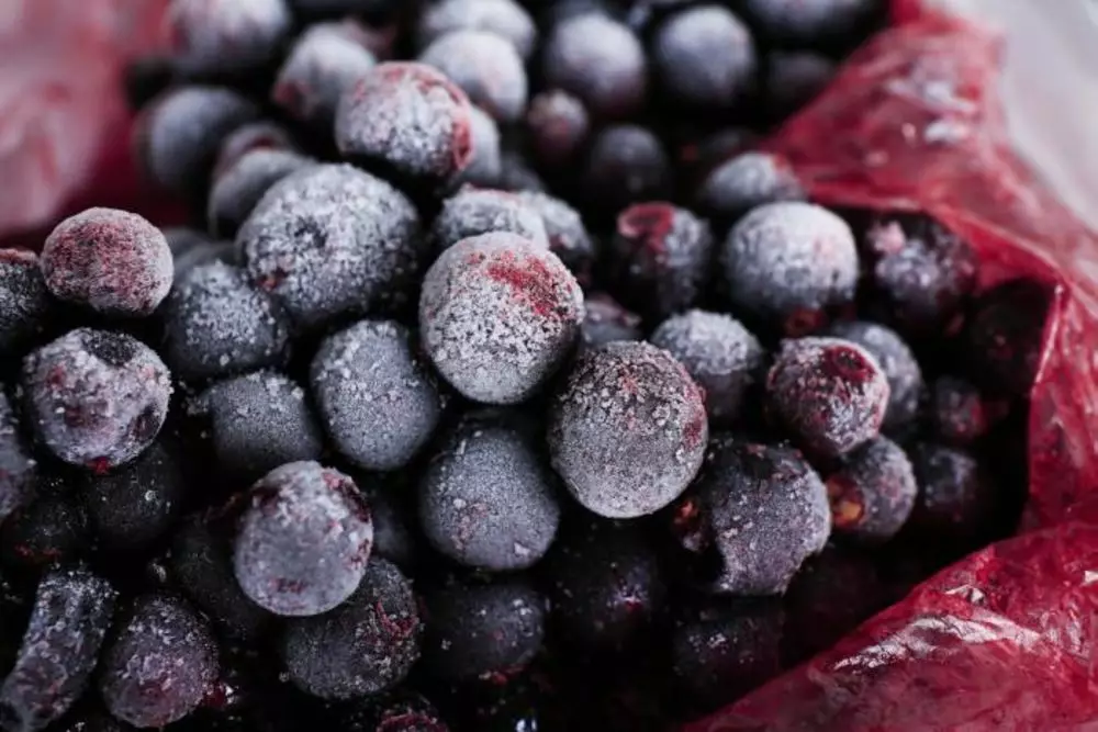 How to freeze blackcurrants for the winter