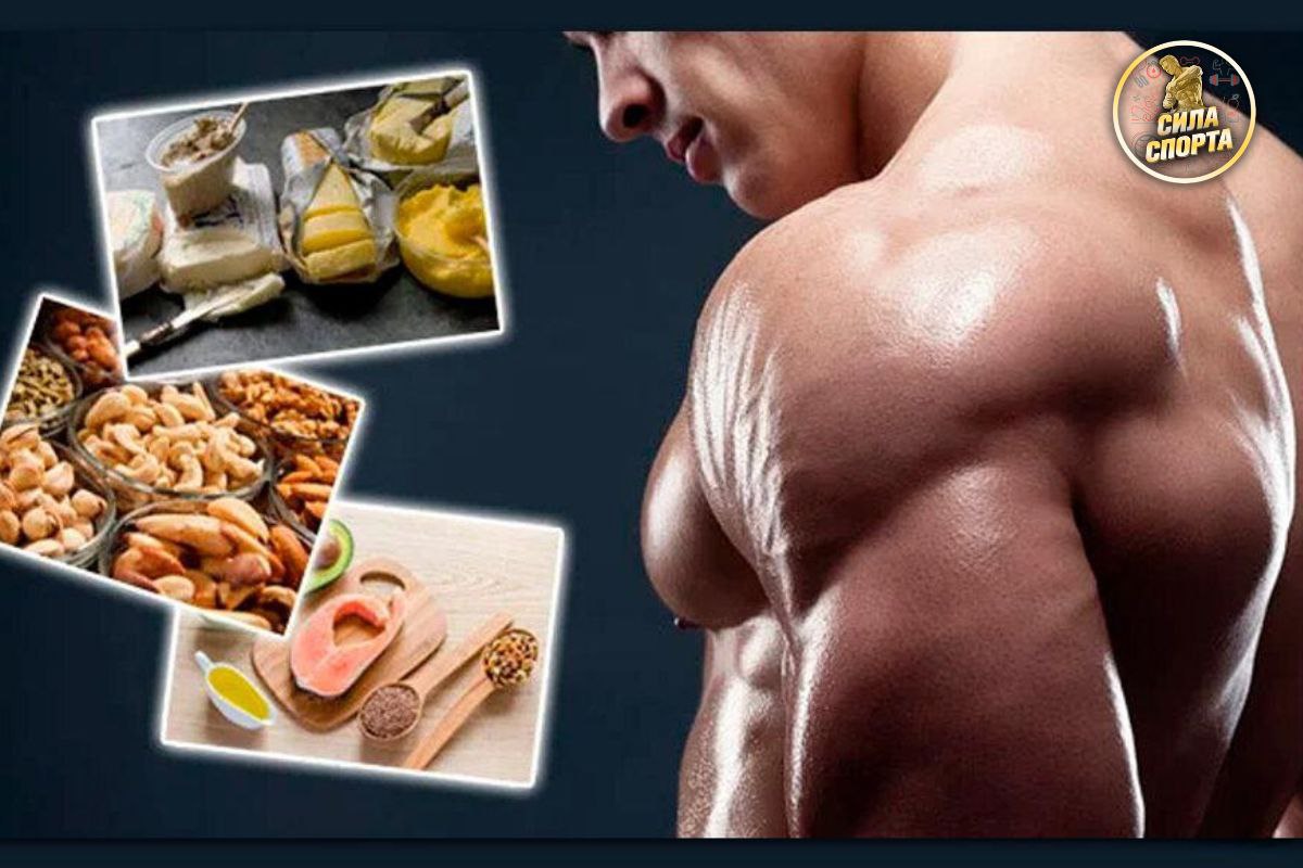 Foods for muscle growth: TOP 10 healthy foods
