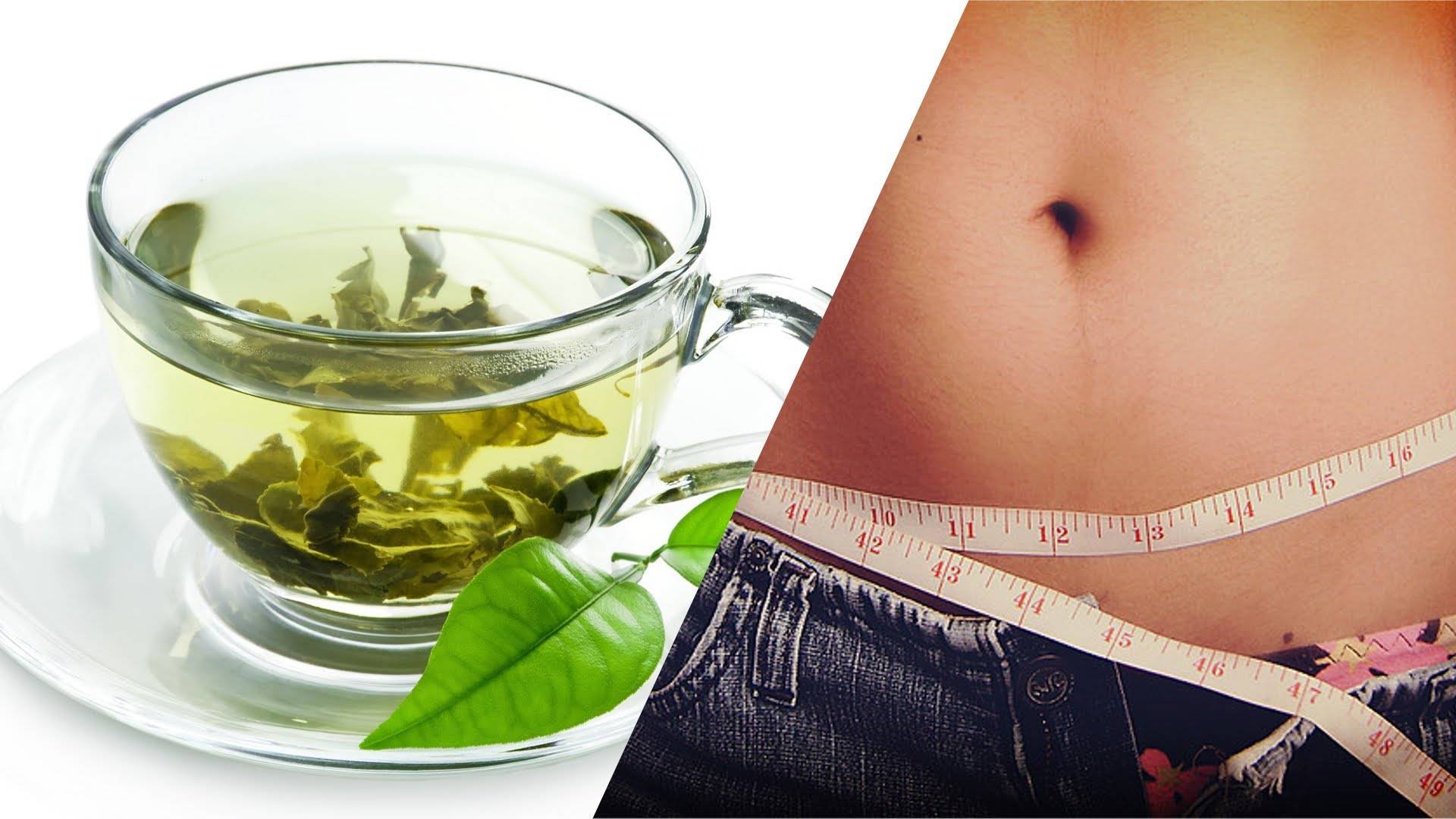 What do you need to know before you start using tea for weight loss?