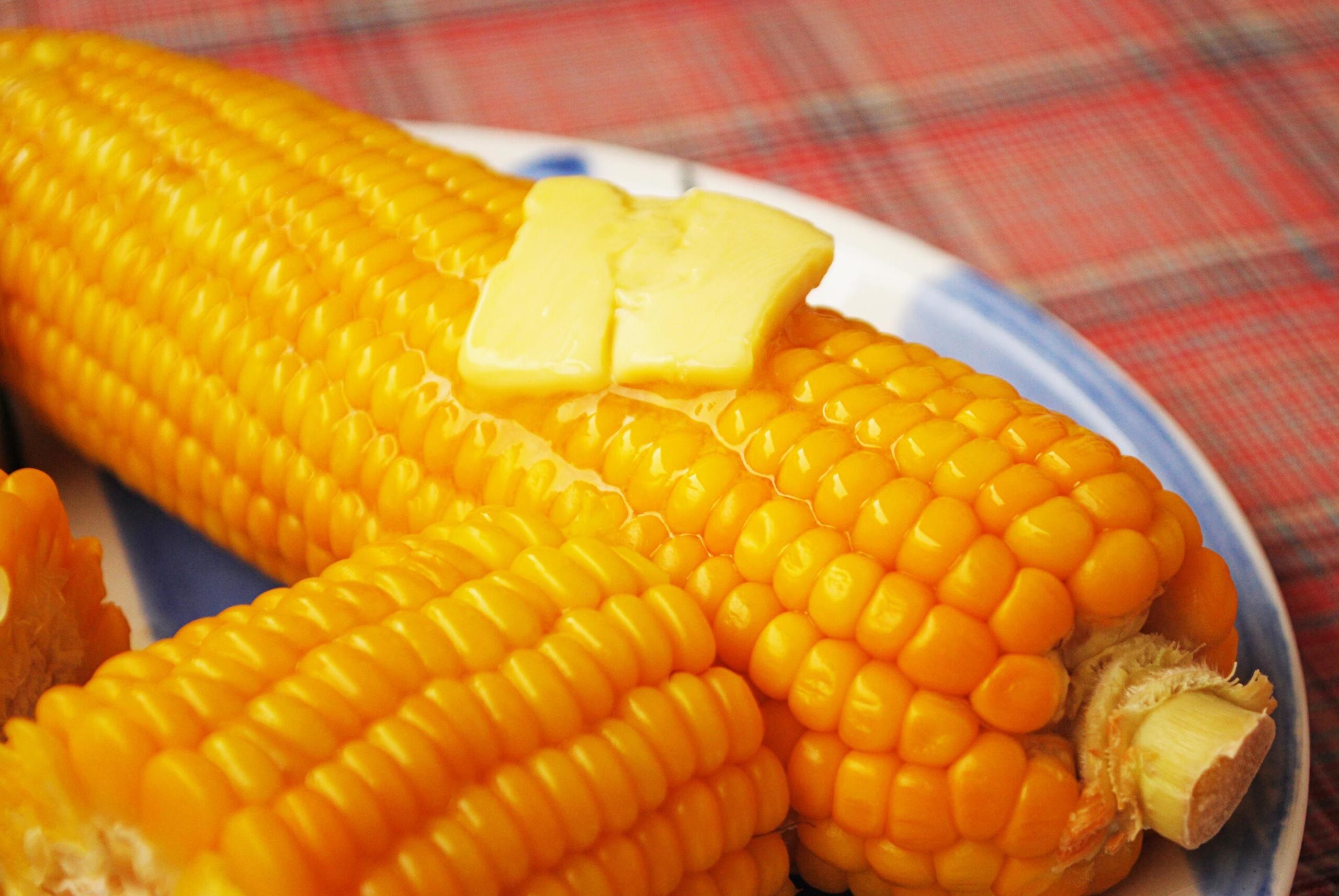 How to cook corn in a slow cooker