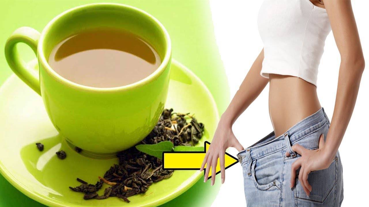 What do you need to know before you start using tea for weight loss?