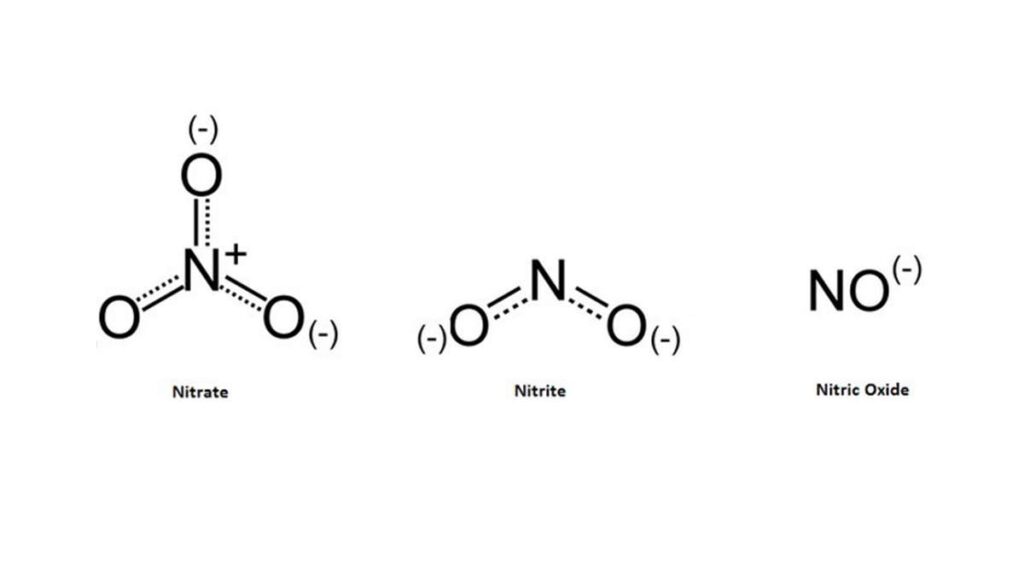 Difference between nitrite and nitrate