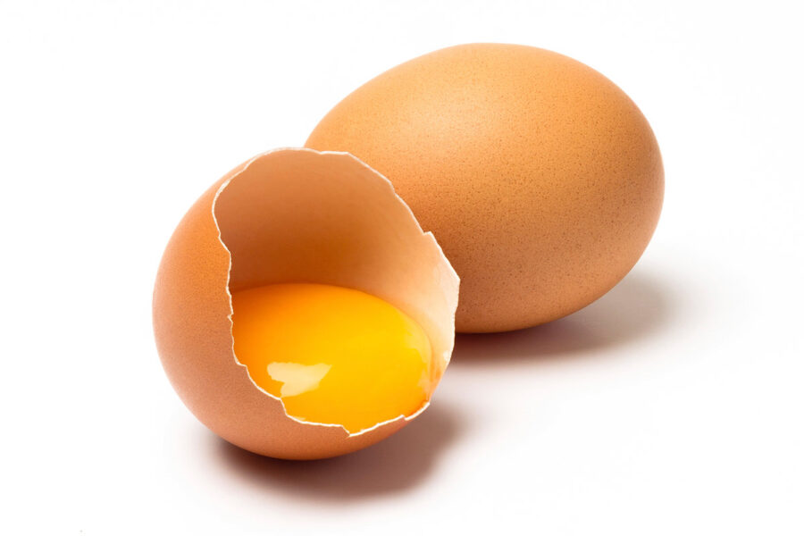 Organic Eggs: Nutritional Wealth and Livestock Concerns
