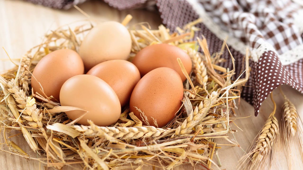Organic Eggs: Nutritional Wealth and Livestock Concerns