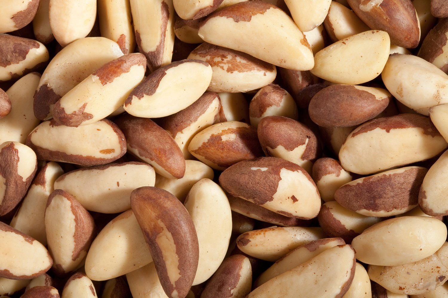 Organic Brazil Nuts: Selenium Without Toxins