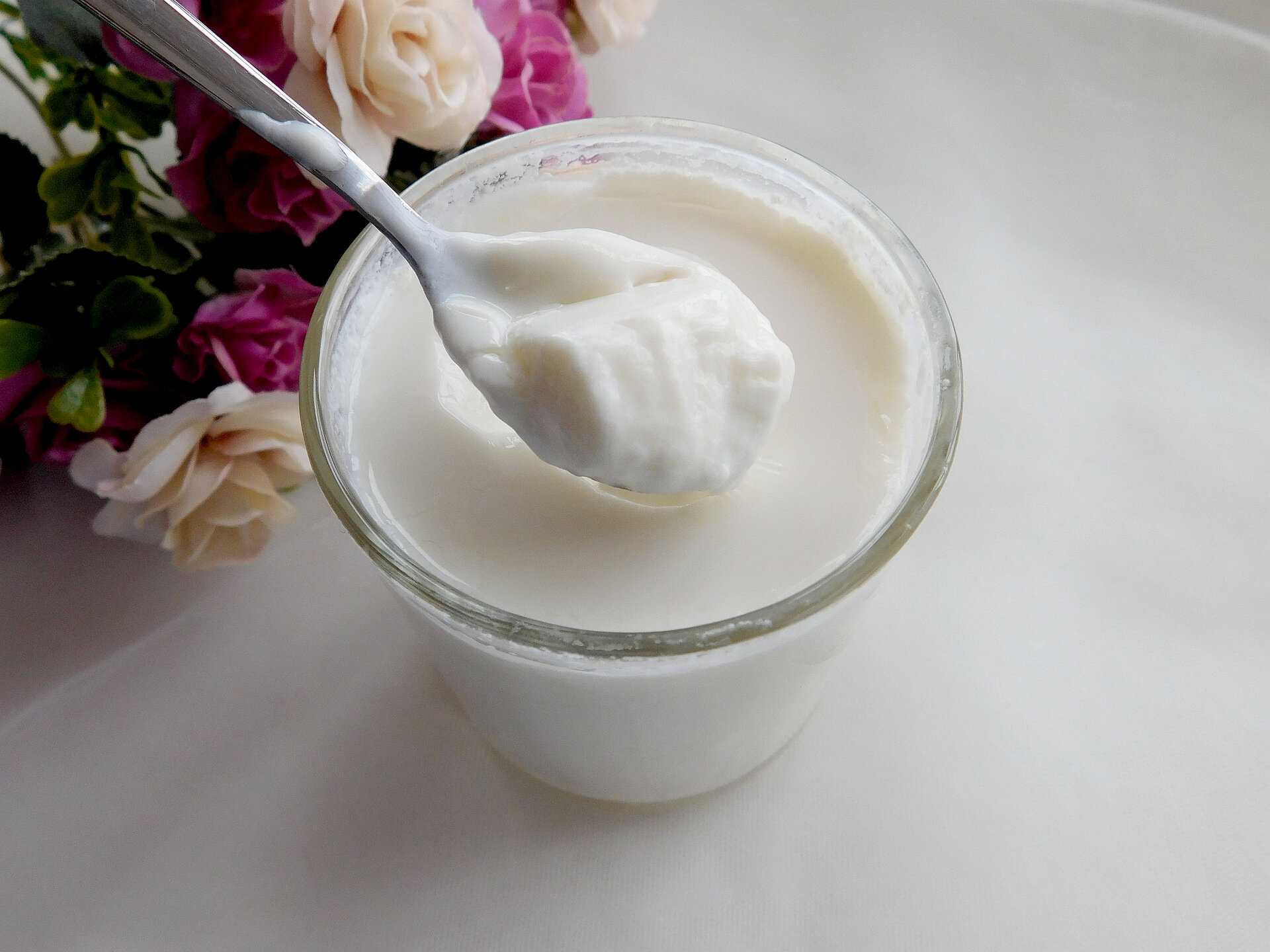Probiotics and Health: Benefits of Organic Kefir and Natural Yogurt