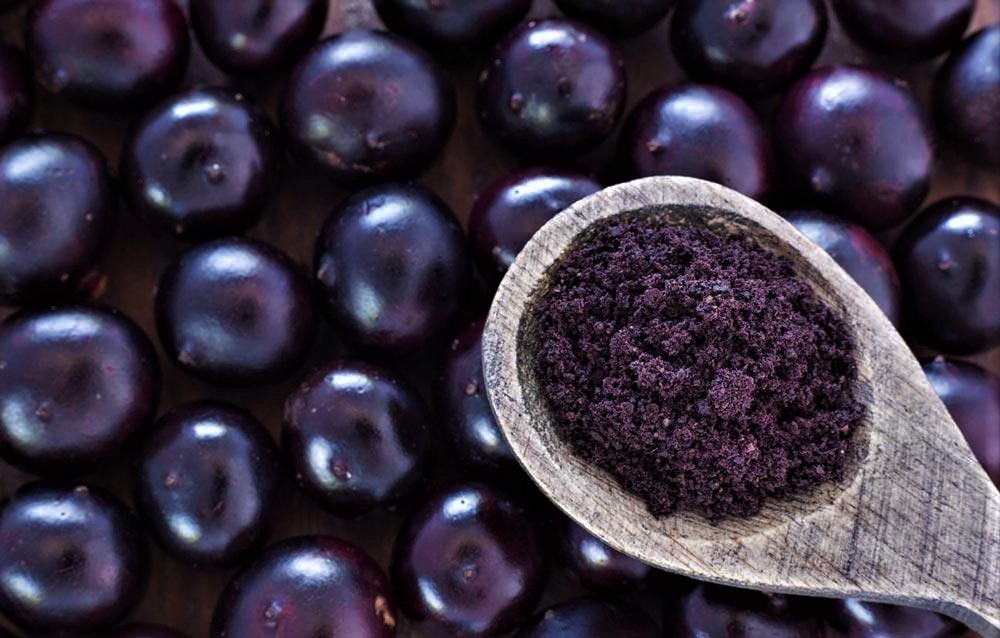 Organic Açaí Berries: An Antioxidant Power Punch and Immune Boost