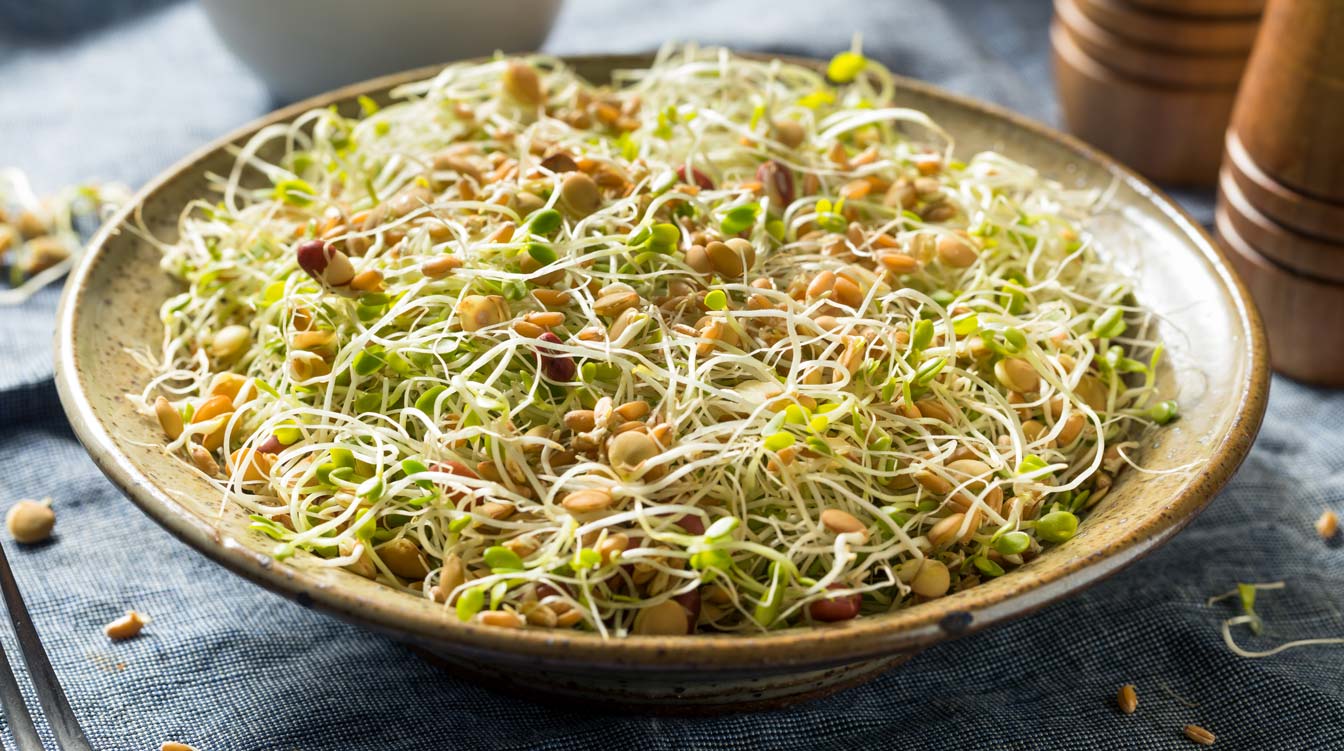 Organic Sprouts: Living Food to Boost Immunity