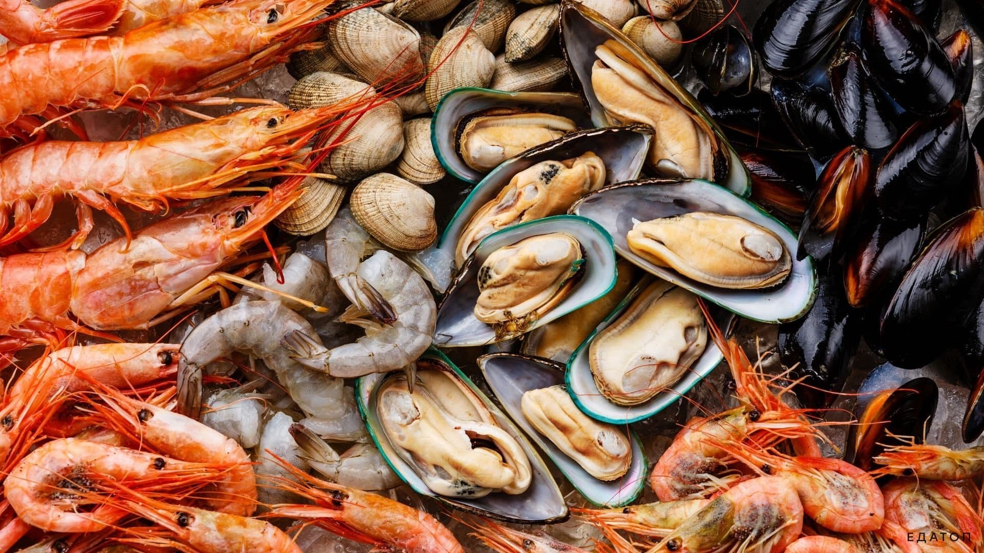 Navigating the Waters of Sustainable Seafood